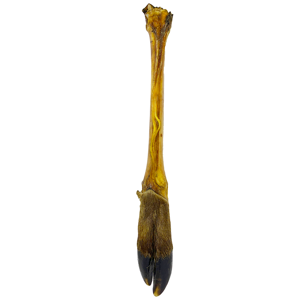 Hertenpoot 