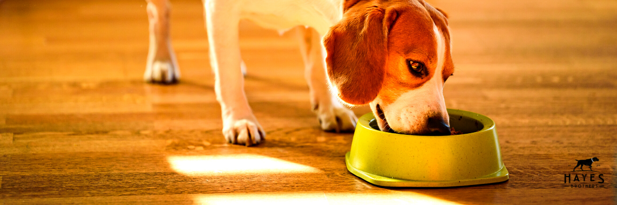 Waarom wij het aantal kilo's in onze zakken honden- en kattenvoer niet aanpassen