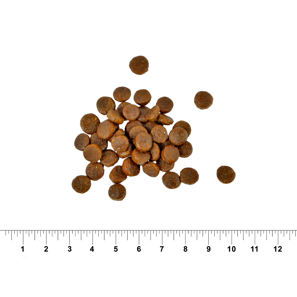 Exigent graanvrij | 7KG