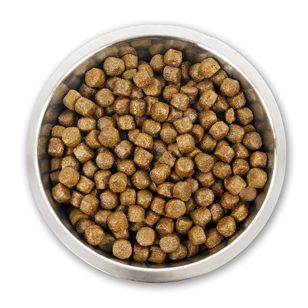 Premium Adult Large Breed | 14KG